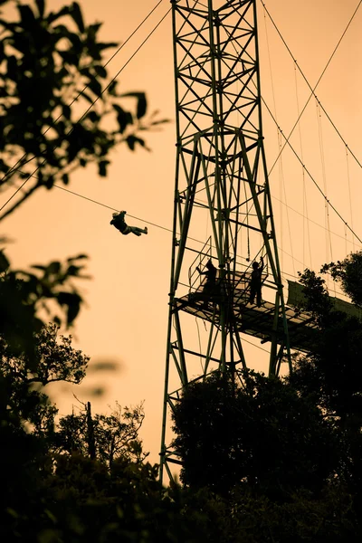 Tourists on zip line — Stock Photo, Image