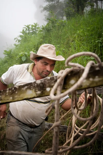 Costa Rican ranch hand — Stock Photo, Image