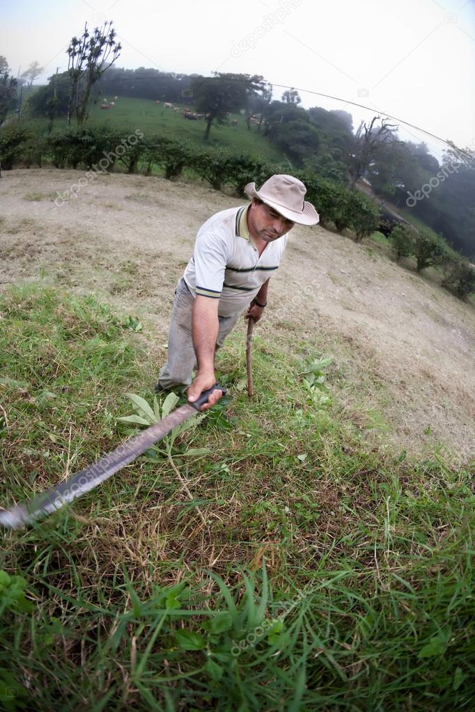 Costa Rican ranch hand