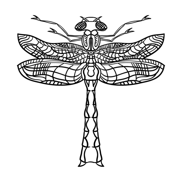 Dragonfly vector illustration — Stock Vector