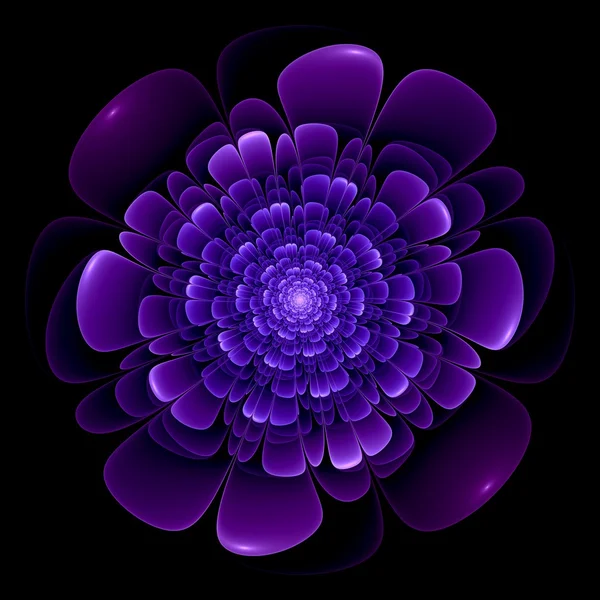 Violet flower pattern modern fractal art design — Stock Photo, Image