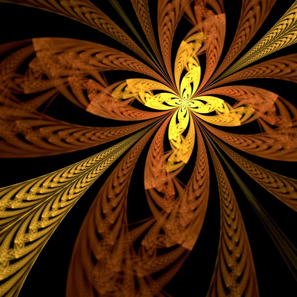 Modèle de fleur fractale colorée — Photo