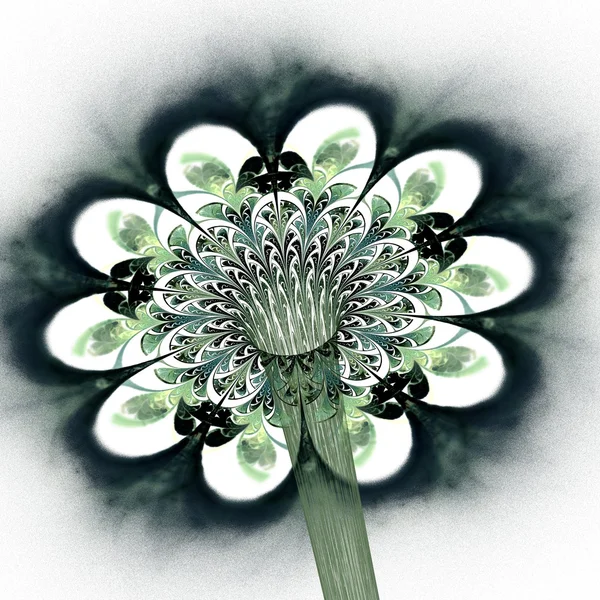 Flor fractal de luz verde, arte digital — Fotografia de Stock