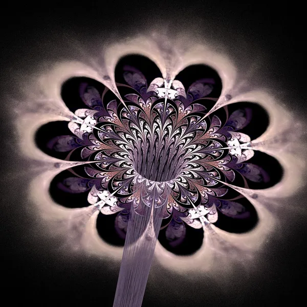 Koyu pembe fraktal çiçek, dijital sanat — Stok fotoğraf