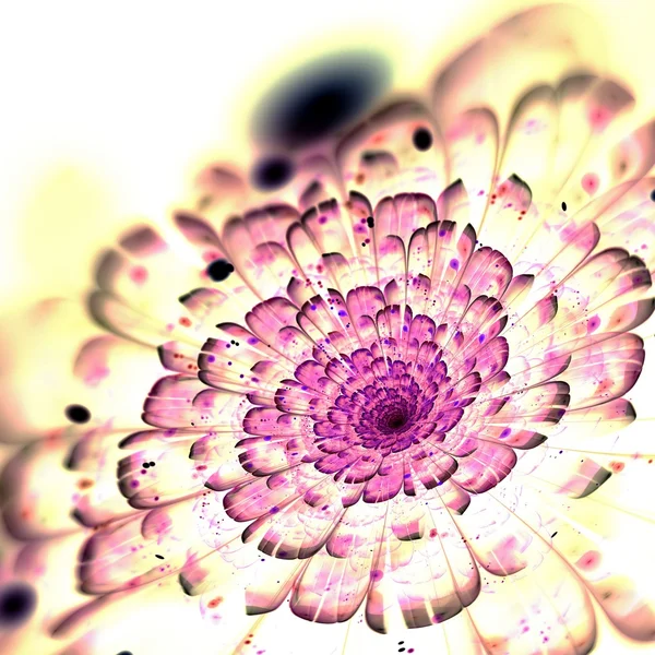 Dark pink fractal flower, digital artwork — Stock Photo, Image