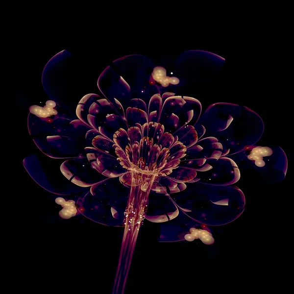 暗红色的分形花，数码艺术作品 — 图库照片