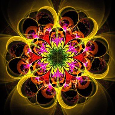 renkli fraktal çiçek, dijital sanat