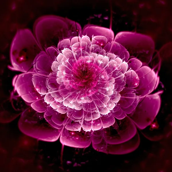 Dark pink fractal flower pattern — Stock Photo, Image