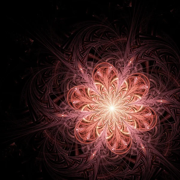 Czerwony fraktal kwiatki — Zdjęcie stockowe