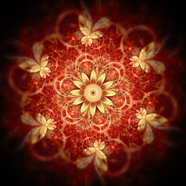 Dark red fractal flower focus — Stock Photo, Image