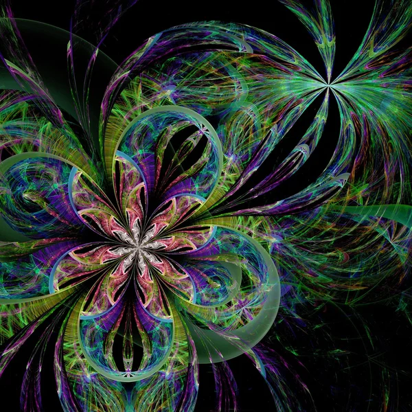 Colorful two fractal flower — Stock Photo, Image