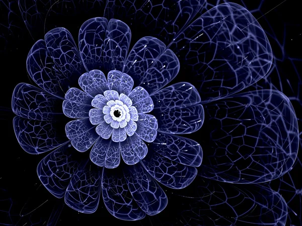 Fleur fractale bleue avec des détails bleus sur les pétales, sur noir — Photo