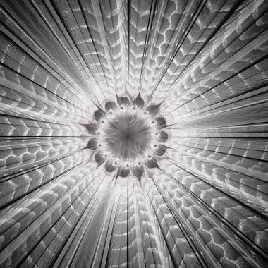 renkli fraktal çiçek beyaz arka plan