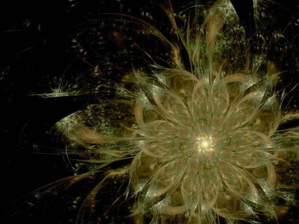 Symmetrische kleurrijke fractal bloem, digitale kunst — Stockfoto
