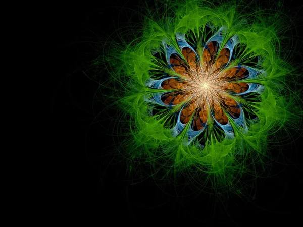 Symmetrical single green orange fractal flower — Stock Photo, Image