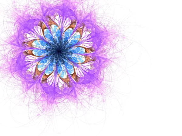 Symetrické jediného modrá fialová fraktální květ — Stock fotografie