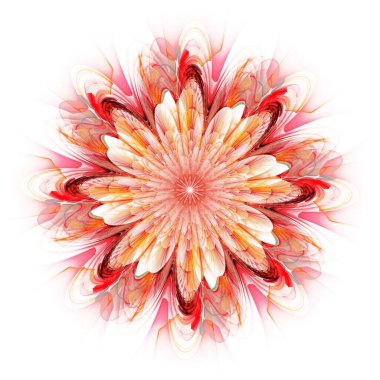 Simetrik fraktal çiçek, kırmızı dijital sanat yaratıcı grafik için 