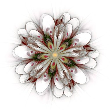 simetrik fraktal çiçek, yaratıcı grafik için dijital sanat 
