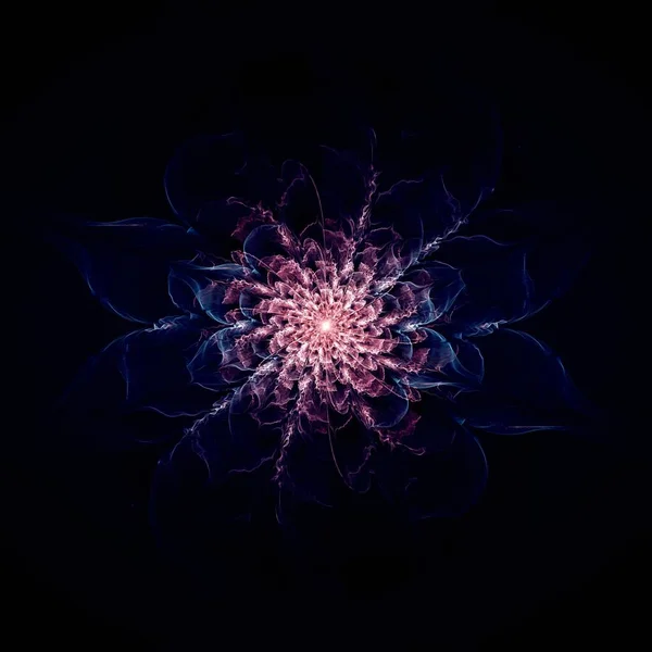 Simetrik Fraktal Çiçek Yaratıcı Grafik Için Dijital Sanat — Stok fotoğraf