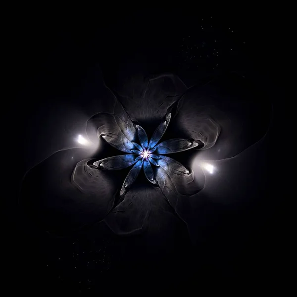 数码艺术作品创意图形对称形花 — 图库照片