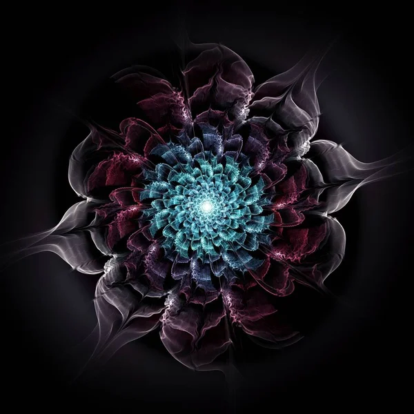 Symmetrical Fractal Flower Digital Artwork Creative Graphic — Stock Photo, Image