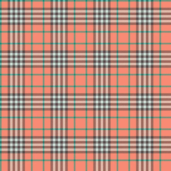 burberry vector