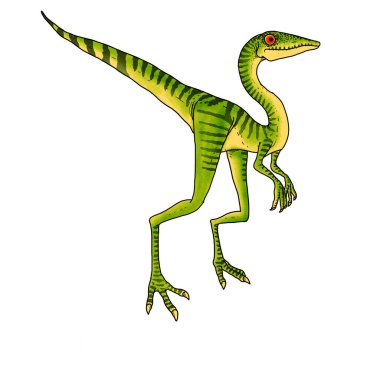 Compsognathus türünden bir dinozorun gerçekçi çizimi