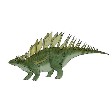 Kentrosaurus türünün bir dinozorunun gerçekçi çizimi