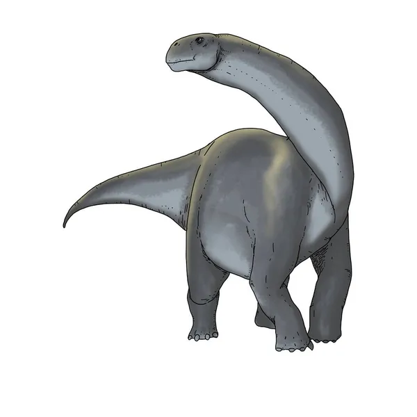 セティオサウルス種の恐竜のリアルなイラスト — ストック写真