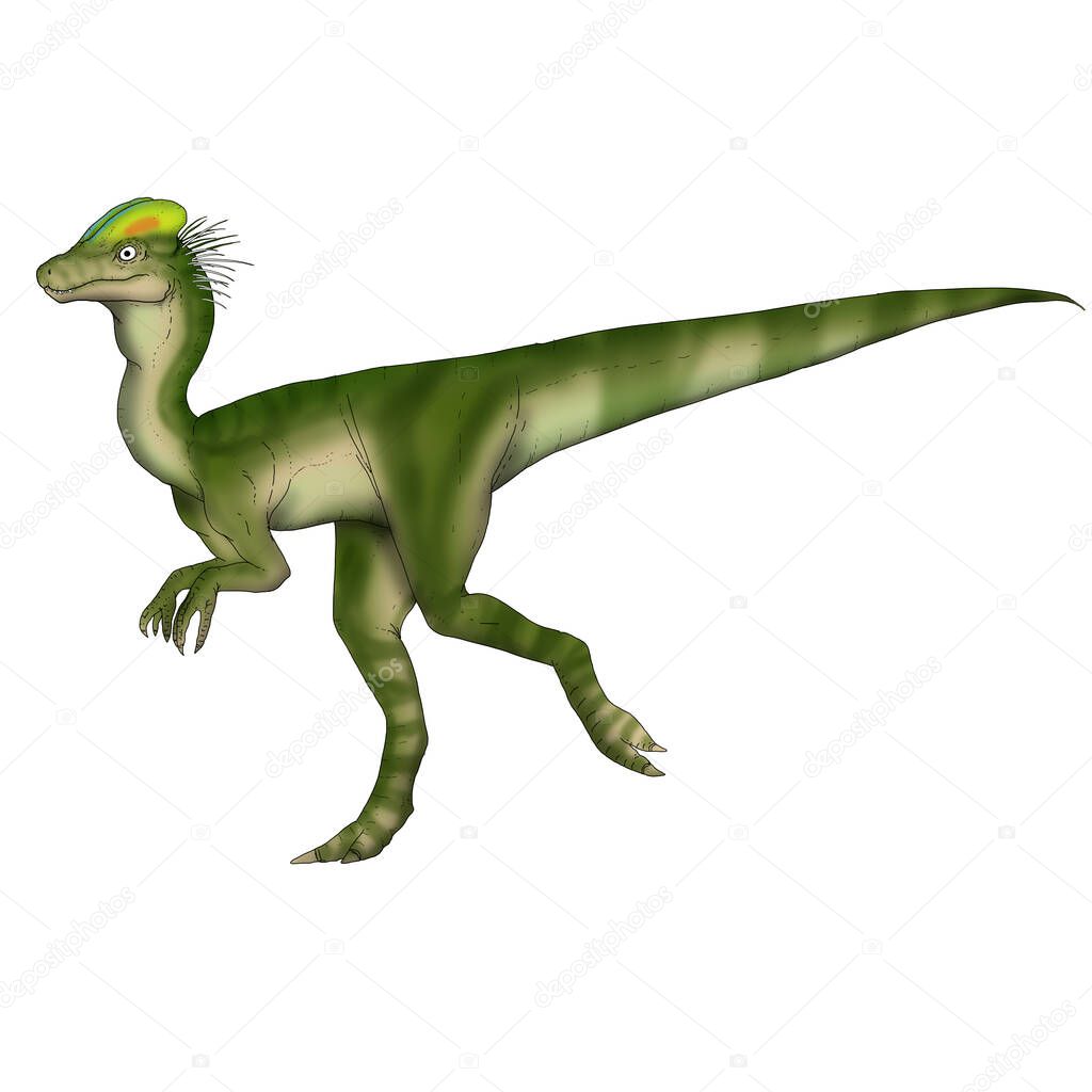 Realistic illustration of a dinosaur of the dilophosaurus species