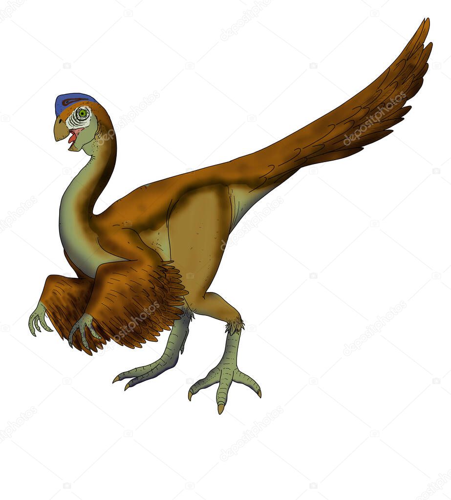Realistic illustration of a dinosaur of the oviraptor species