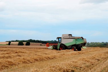 Yazın saman kesiyorum. Mavi bulutlu gökyüzüne karşı.