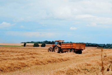 Yazın traktörü mavi bulutlu gökyüzüne karşı kesiyorum.