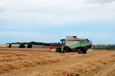 Yazın saman kesiyorum. Mavi bulutlu gökyüzüne karşı.