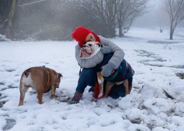 woman in grey coat and red hat hugging two english bulldogs outdoors in  snowing winter day