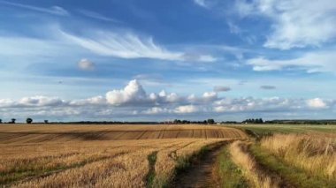 Buğday tarlası, evler, türbinler ve güzel bulutlu mavi gökyüzü olan bir manzara.