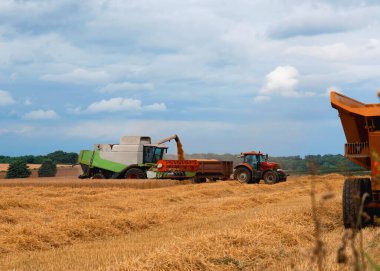 Arka planda dramatik bir gökyüzü olan modern bir hasat makinesinin yaz mevsiminde buğday hasadı. Çiftçiler yiyecek tedarik ediyor ve ulusu besliyor.