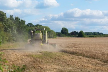 Modern bir biçerdöver tarafından yaz mevsiminde buğday hasadı. Çiftçiler yiyecek tedarik ediyor ve ulusu besliyor.