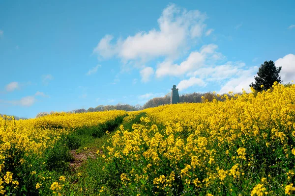 Rapeseed Field Cloudy Blue Sky South Yorkshire Amazing English Landscape — стоковое фото