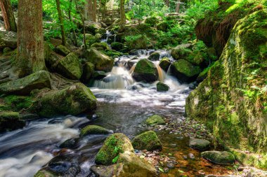 Sıcak yaz günlerinde yeşil bir ormanda akarsu. Peak District Ulusal Parkı.