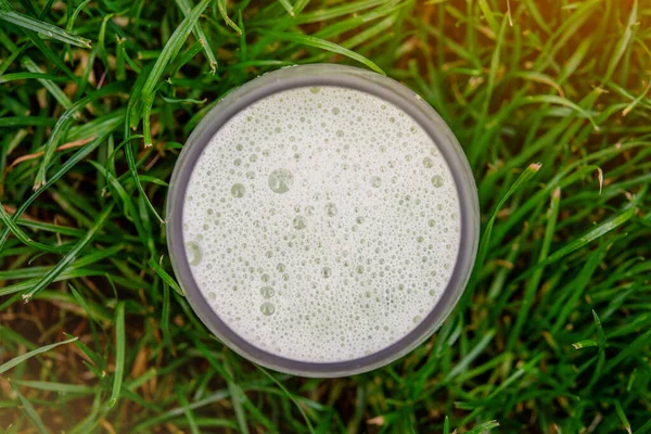 Vegetarian Green Drink Glass Grass — Stock Photo, Image