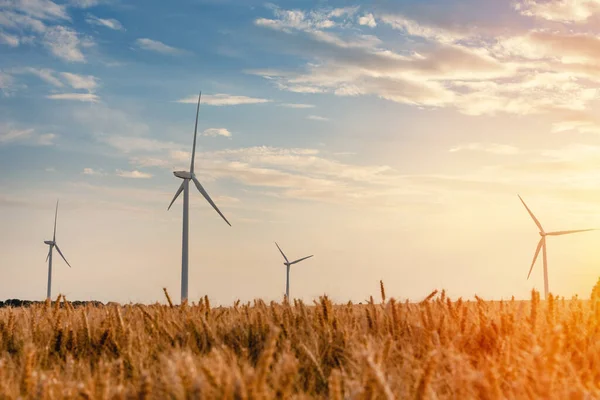 An electricity generating windmills on the wheat field against a dramatic cloudy sky in England