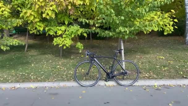 Schotterfahrrad Park Grüner Park Und Bäume Freien Urbanes Szene Fahrrad — Stockvideo