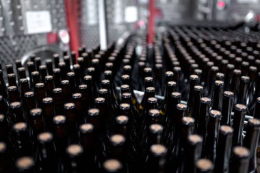 Şarap imalatının yan görünümünde çok sayıda şarap şişesi