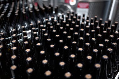 Şarap imalatında çok sayıda şarap şişesi var.
