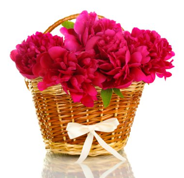 Sepette Beyaz izole yay ile güzel pembe peonies