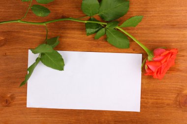 Tahta arka planda güzel bir gül