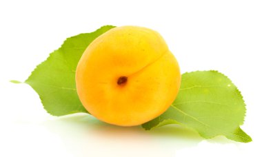 Olgun tatlı kayısı üstüne beyaz izole yeşil yaprakları ile