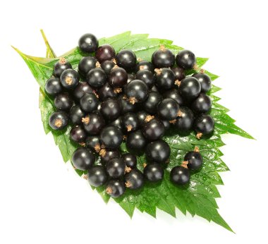 beyaz izole taze Siyah frenk üzümü