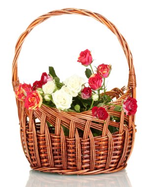 beyaz izole bir sepet içinde güzel gül buketi